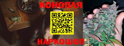 гидра Камень-на-Оби