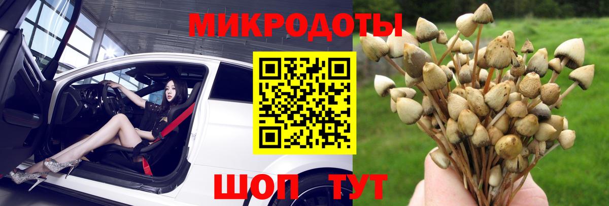Джанкой  Псилоцибиновые грибы мухоморы  Вход с VPN 